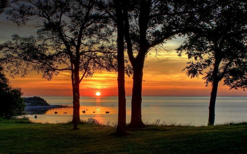 фото взято из открытого источника