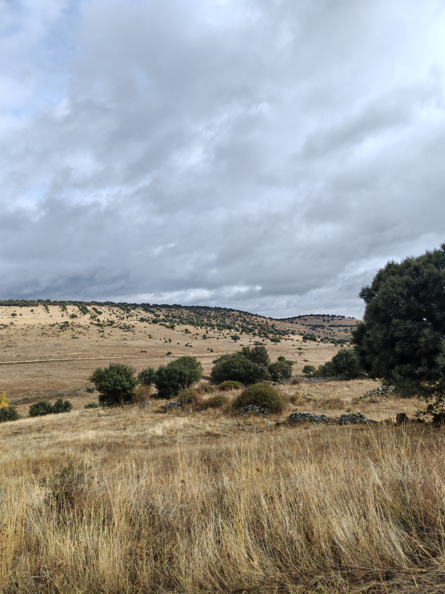 Дневной пейзаж