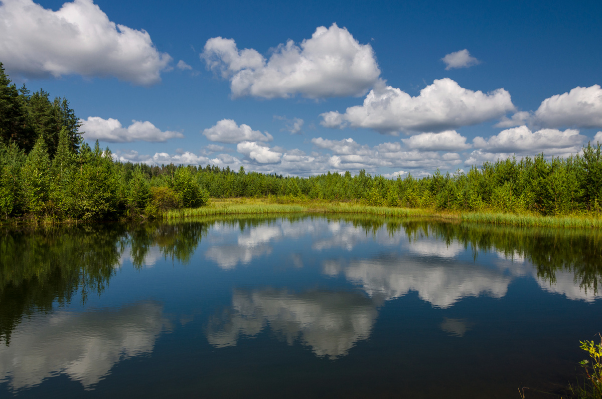 Карельский перешеек. 