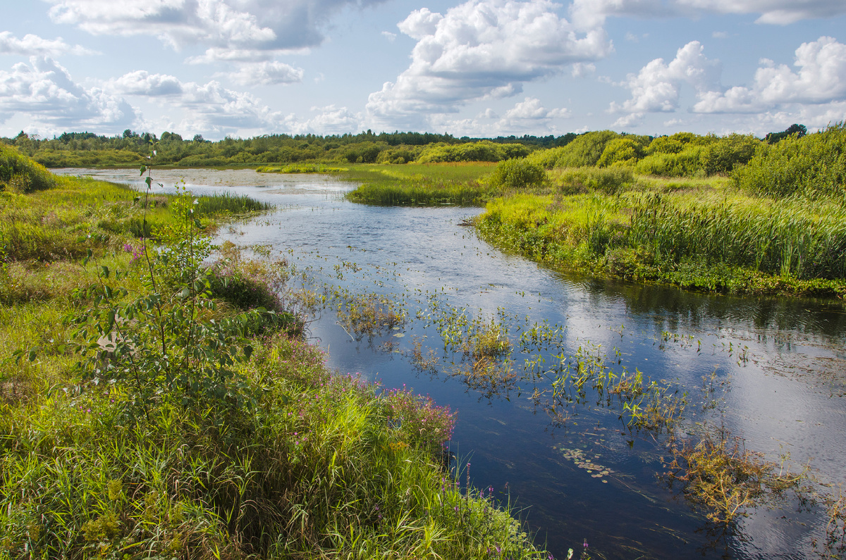 Ленинградская область, Бокситогорский район. 
