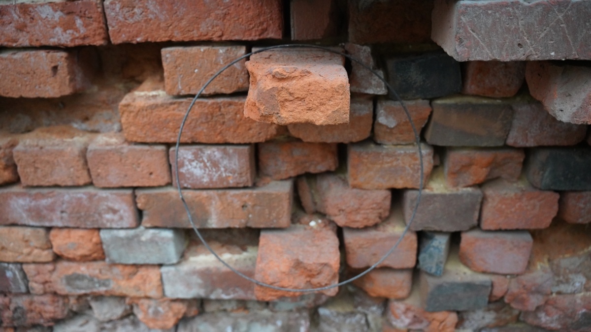 Фото: Светлана Мулыкина📷
