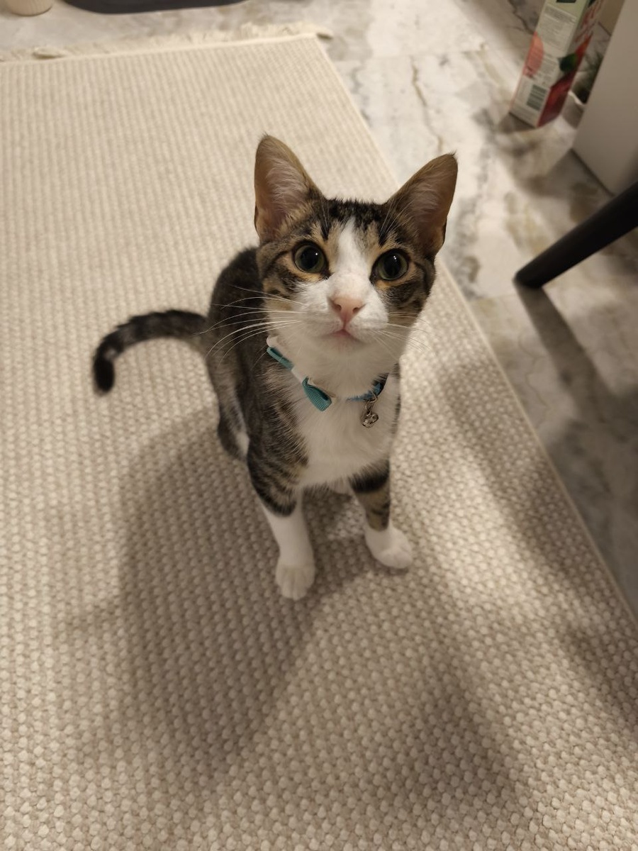 Знакомьтесь - Кузьма!