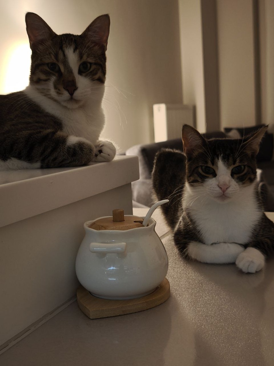 Вечерний зажор