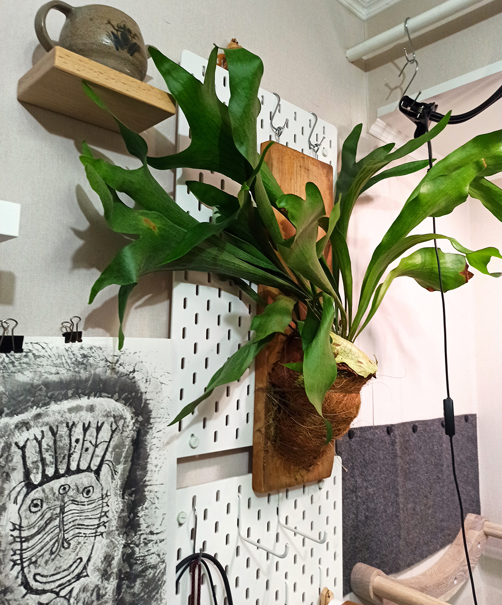 Пока разместила его на стене ближе к свету. И снимать отсюда удобнее.