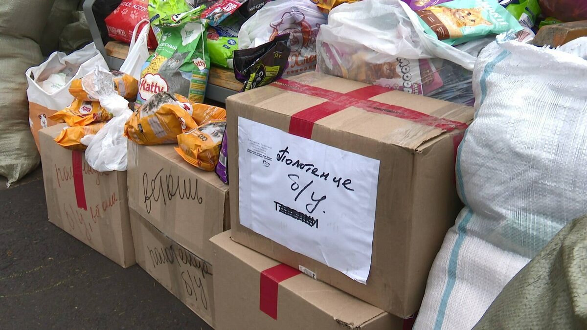 Фото предоставлено Надеждой Багаутдиновой