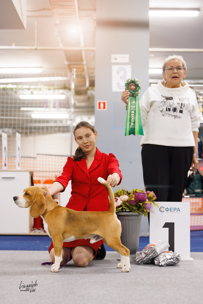 Вилл Уман Тайлер