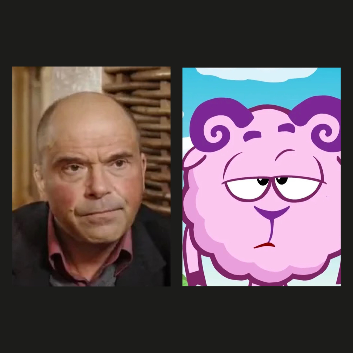 Вадим Бочанов озвучил Бараша.