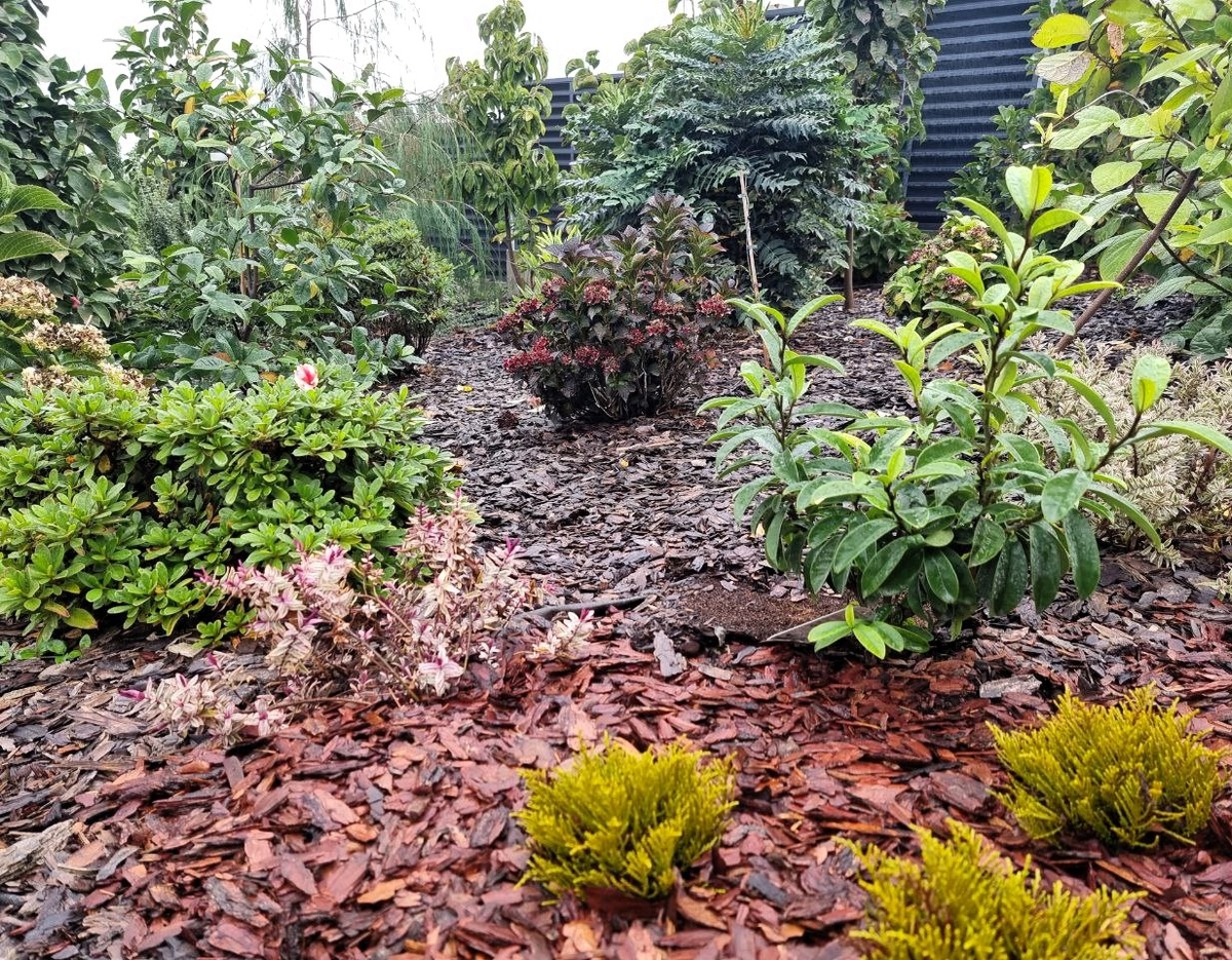 Осенние переделки в саду.