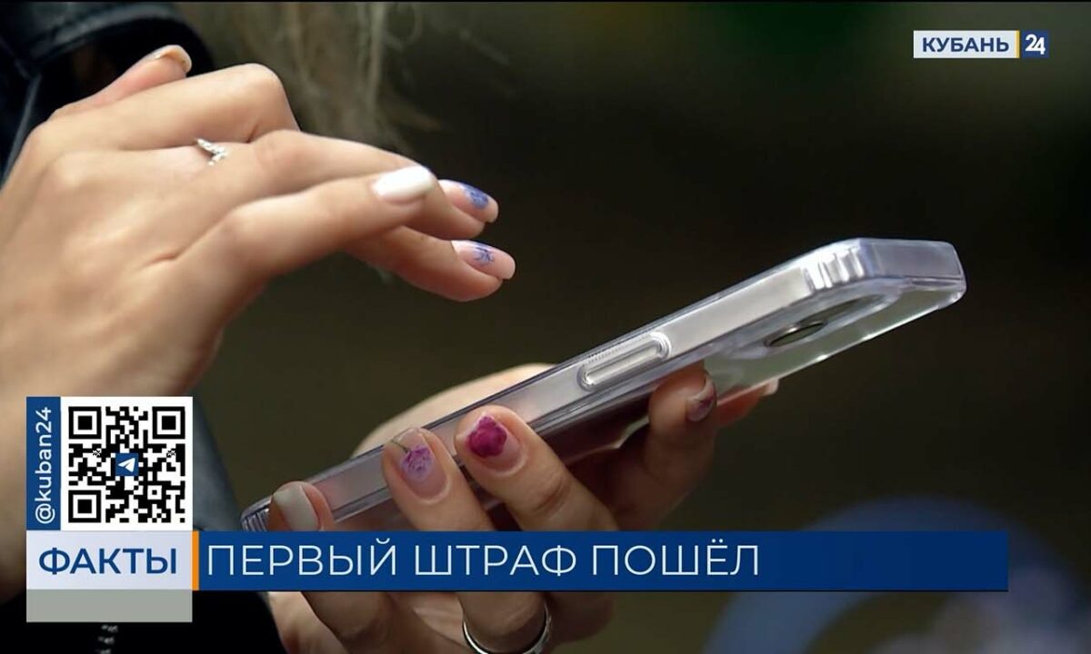    Скриншот видео телеканала «Кубань 24»