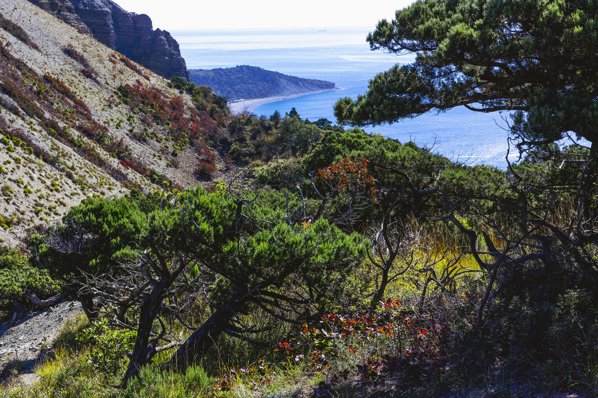 Заповедник Утриш ,Анапа