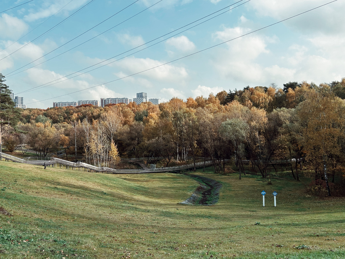 прогулка в парке