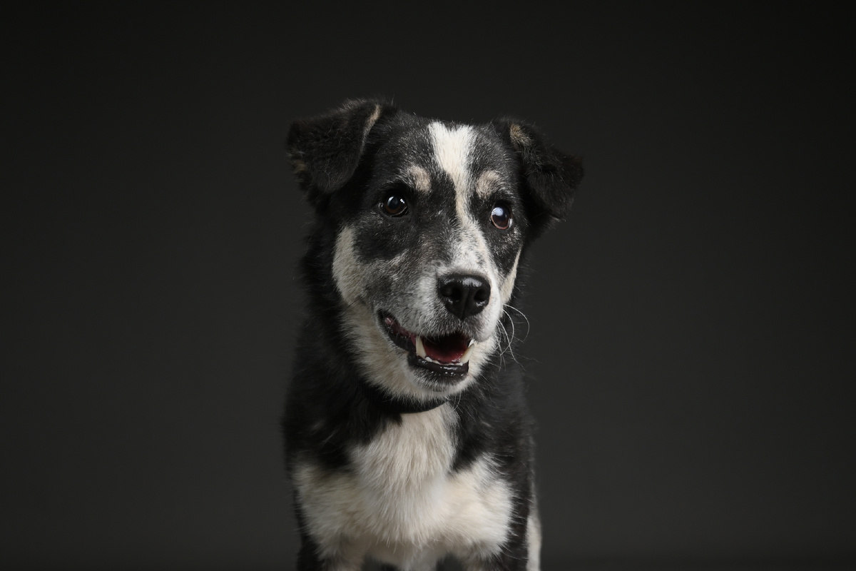 Чика ждёт встречи с семьей, которая оценит её ум, таланты и доброе сердце.