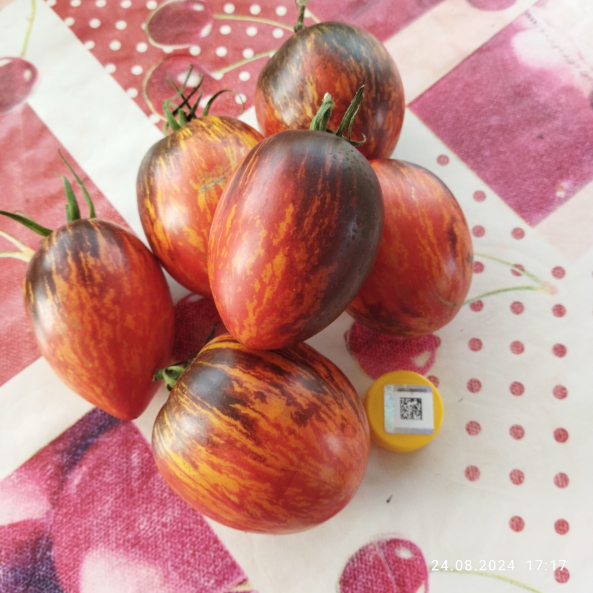 Гаргамель в 2024 году