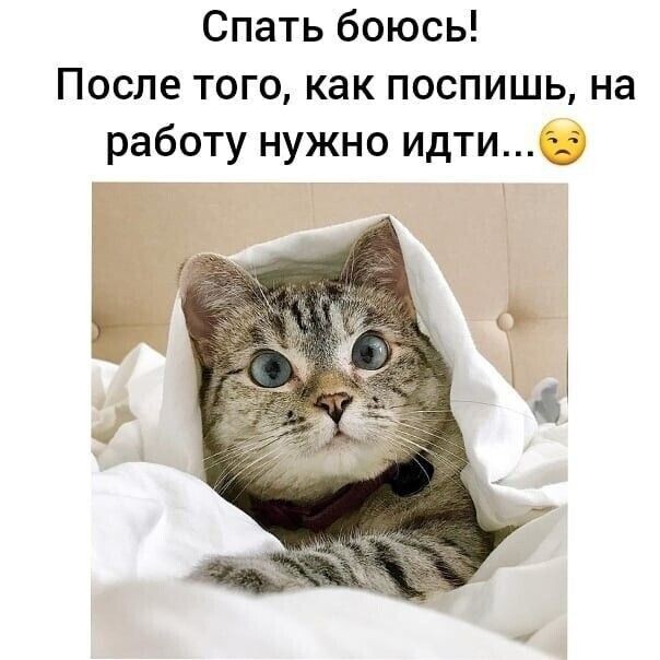 источник Яндекс-картинки