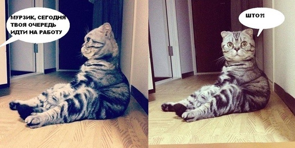 источник Яндекс-картинки