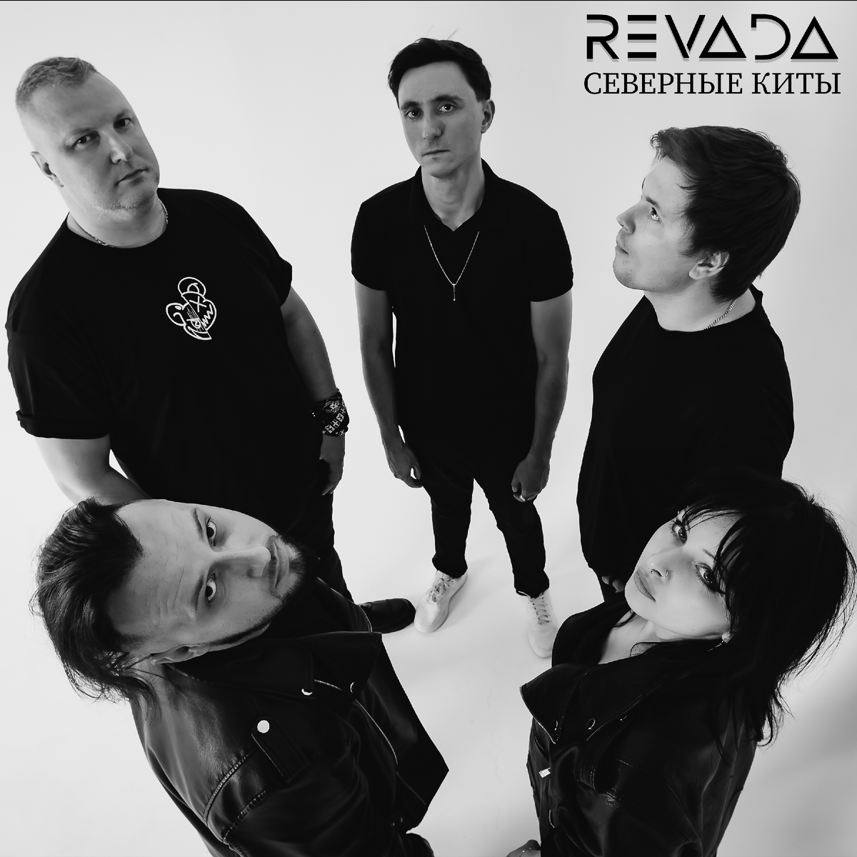 Обложка песни REVADA - Северные киты