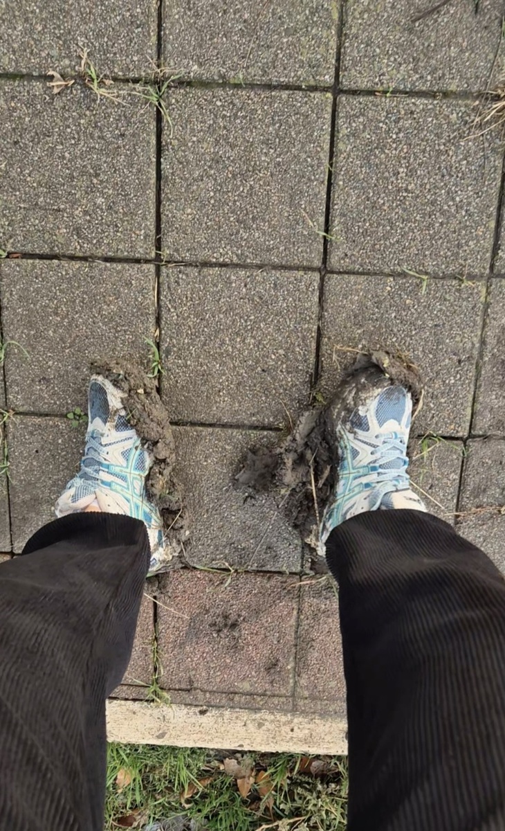 Как говорится, дурная голова...