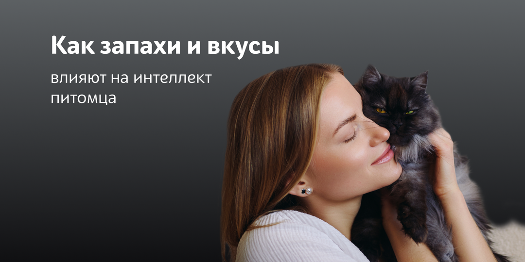 Как запах и вкус корма влияют на аппетит и восприятие еды