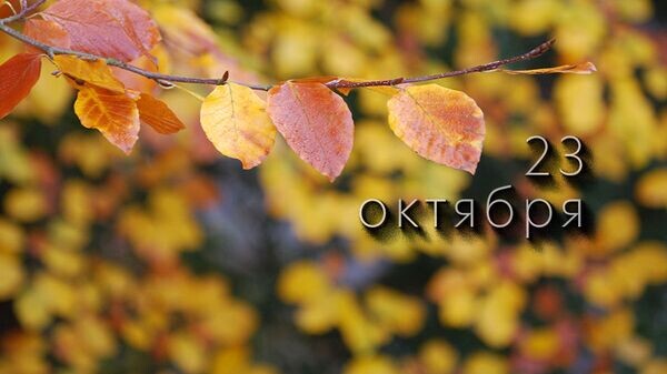    © Photo : Jade: Pexels