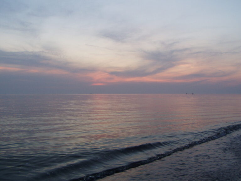    Фото: wiki commons/Vladimir Skrypov/CC BY-SA 3.0 Роман Котлов