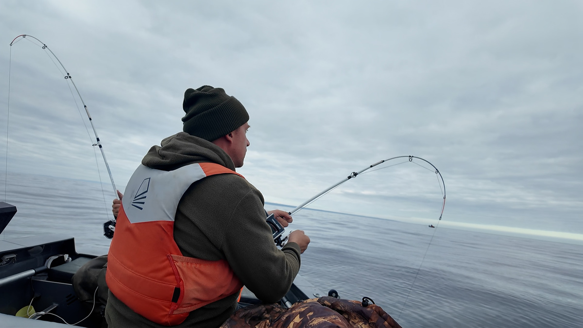 Поймал - тяни!