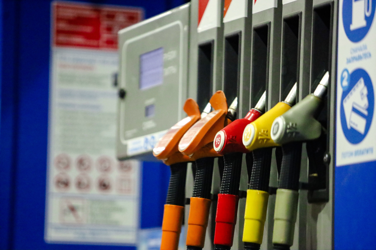     / globallookpress.com / Elena Mayorova