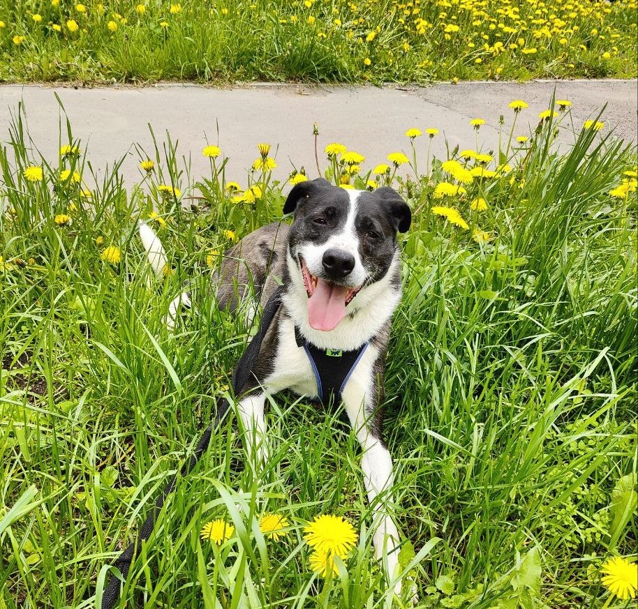 Хе-хе-хе! - как бы говорит нам Чаплин