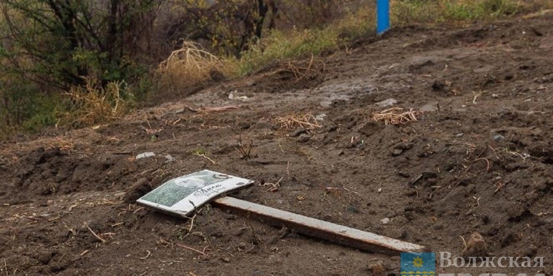 Могилки давили спецтехникой: в Волгограде снесли кладбище домашних животных