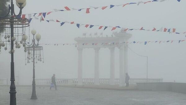    © Telegram Галина Огнева