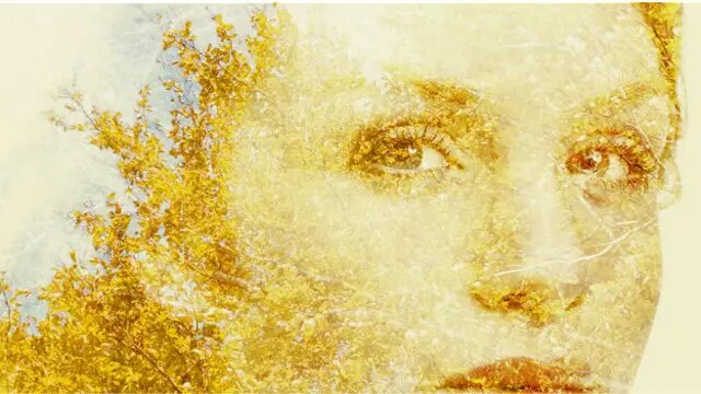 "Закон 2-х недель": почему люди забывают тех, кто им нужен - и как избежать этой участи