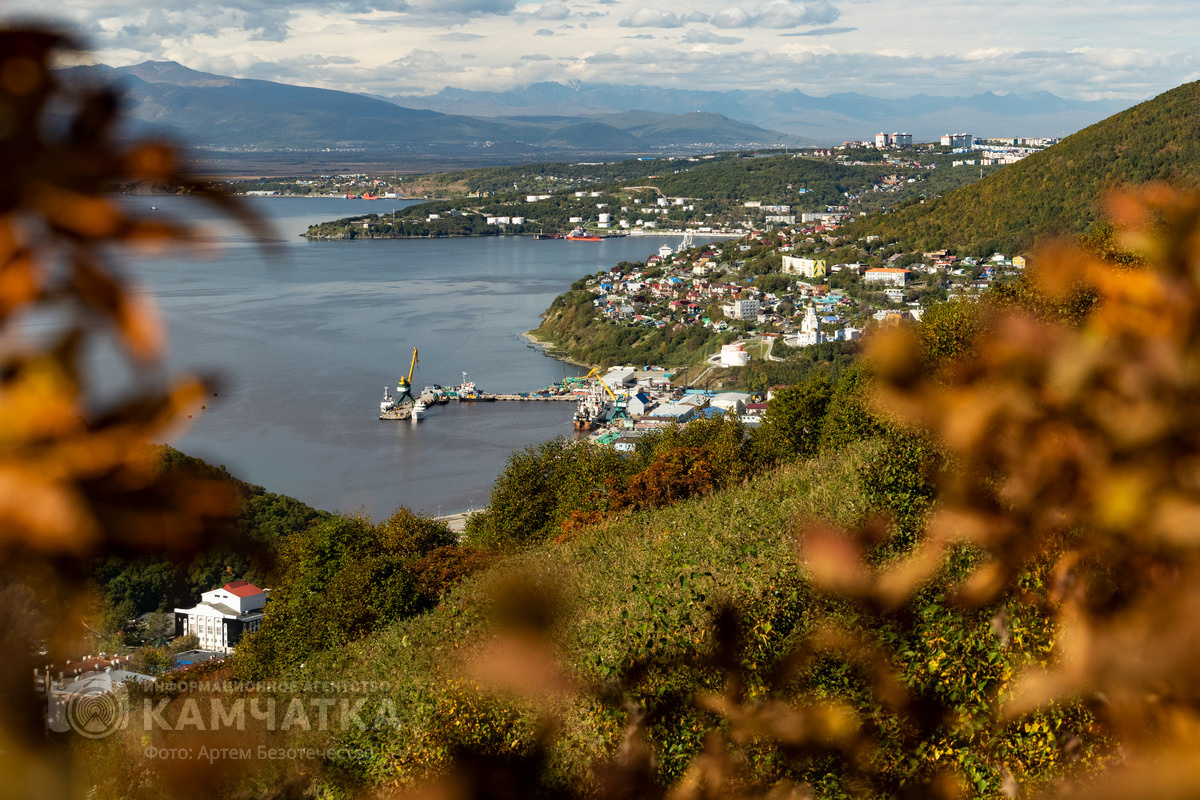 Фото Артема Безотечество / ИА «Камчатка»