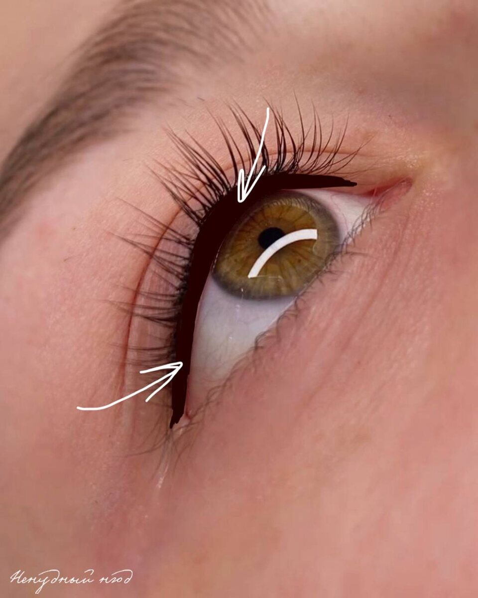 Прокрашивать нужно именно верхнюю слизистую и межресничное пространство из этого же положения