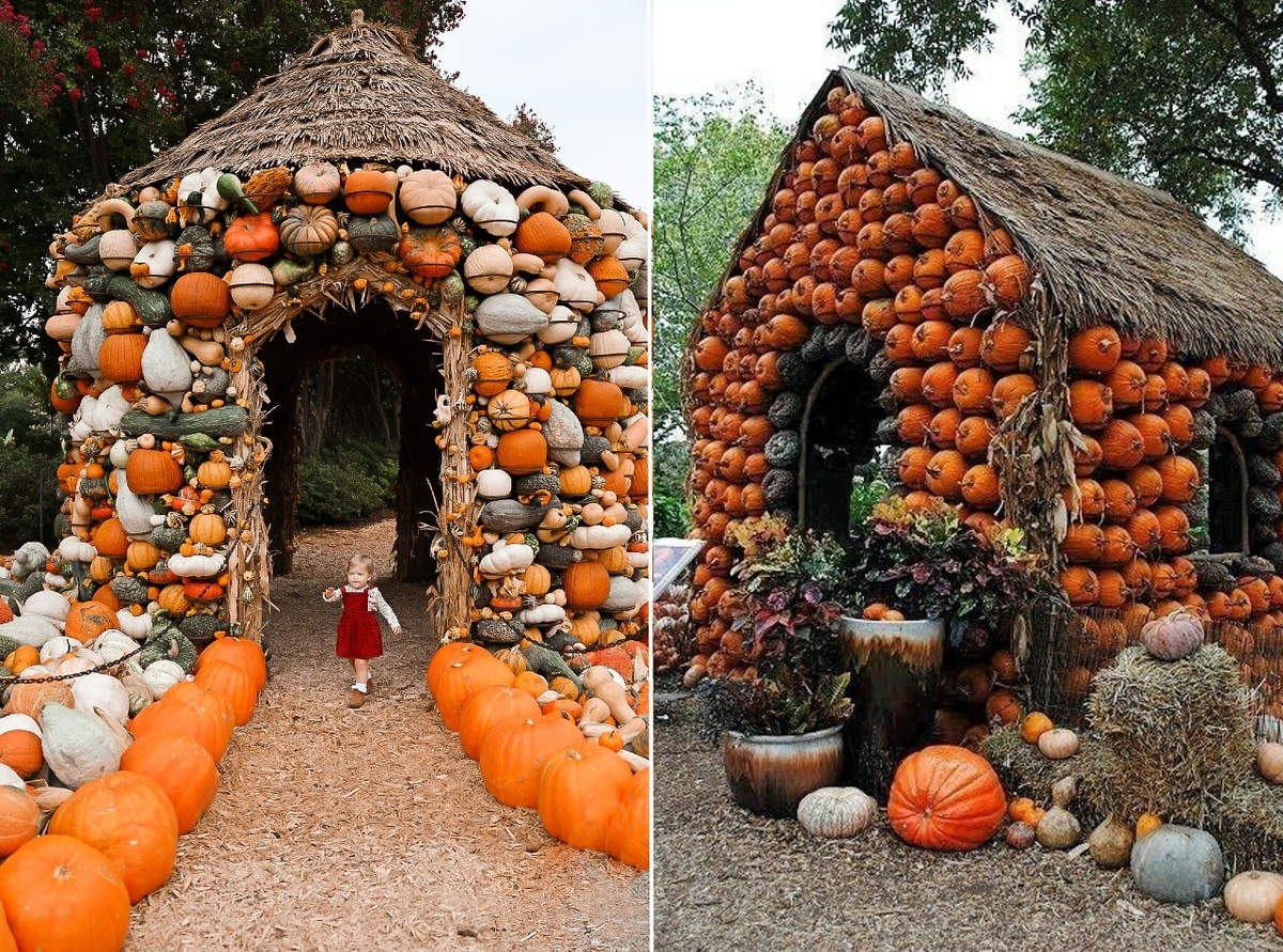 Часть инсталляции, источник mungfali.com и in.pinterest.com