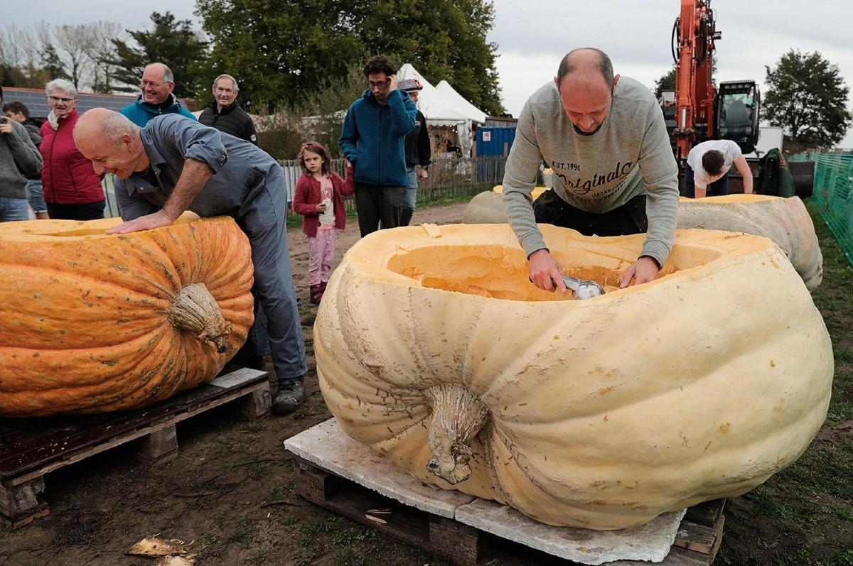 На фото подготовка к гонке на тыквах, источник rbc.ru