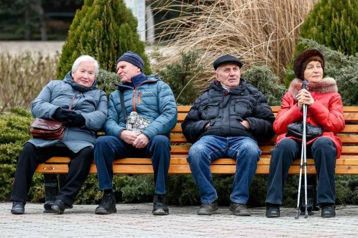 Юристы рассказали, от каких выплат освободят пенсионеров до 1 декабря. Обложка © ТАСС / Сергей Мальгавко