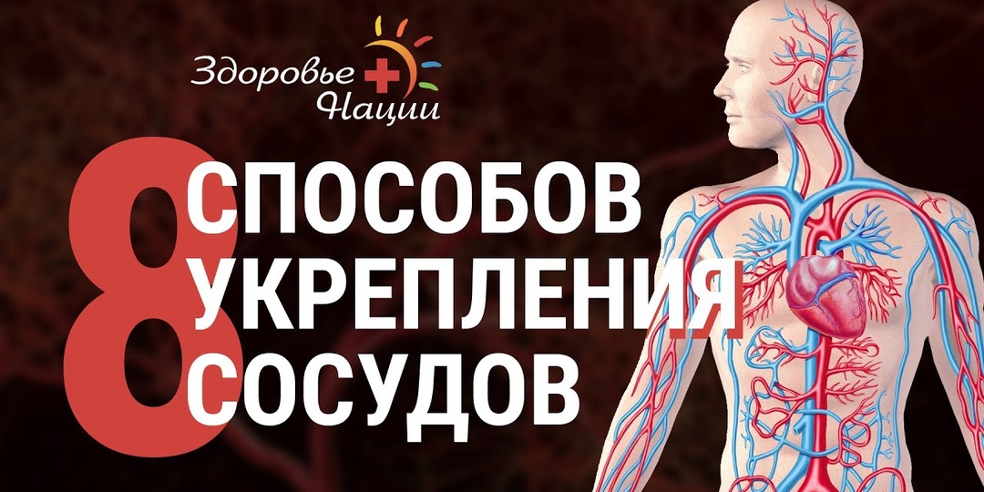 Кардиолог: что действительно помогает восстановить сосуды после 60 (интервью)