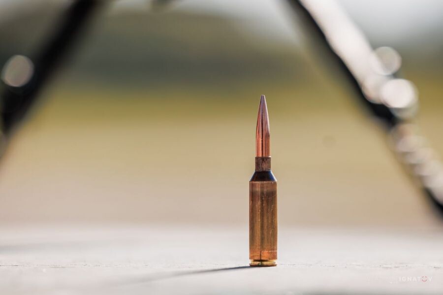 Фото Владимира Игнатова. Для иллюстрации.