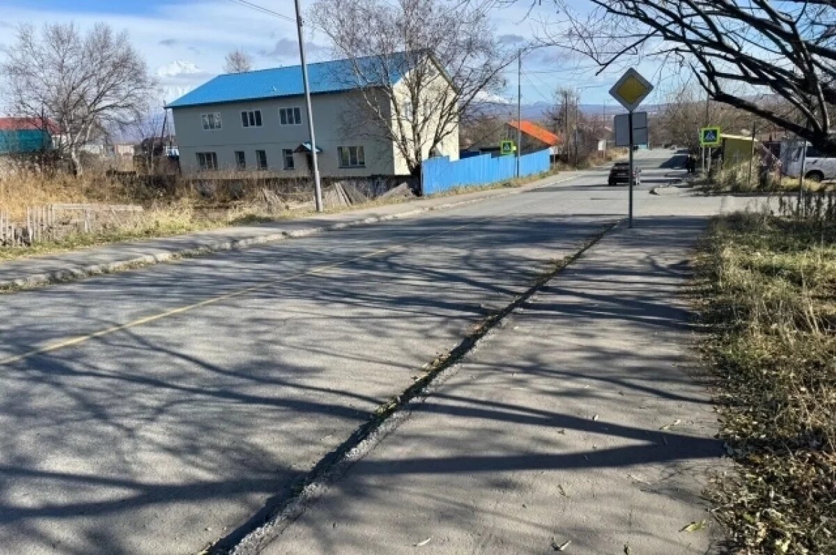    На Камчатке возбудили дело по факту ДТП, в котором покалечился ребенок