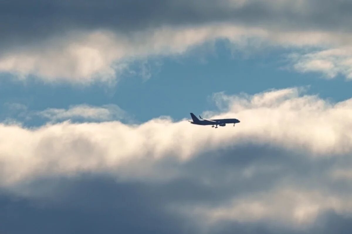    На субсидированные перелеты на Дальний Восток заложили в бюджете 219 млрд