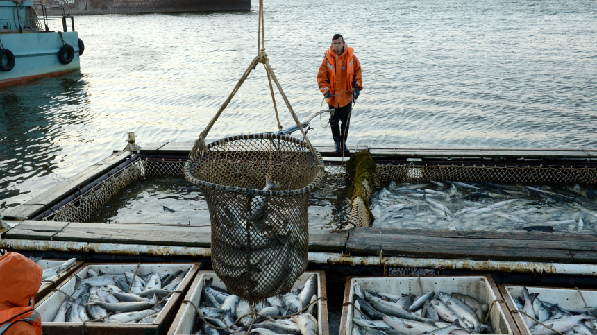    Фото: © РИА Новости/Андрей Зима; 5-tv.ru