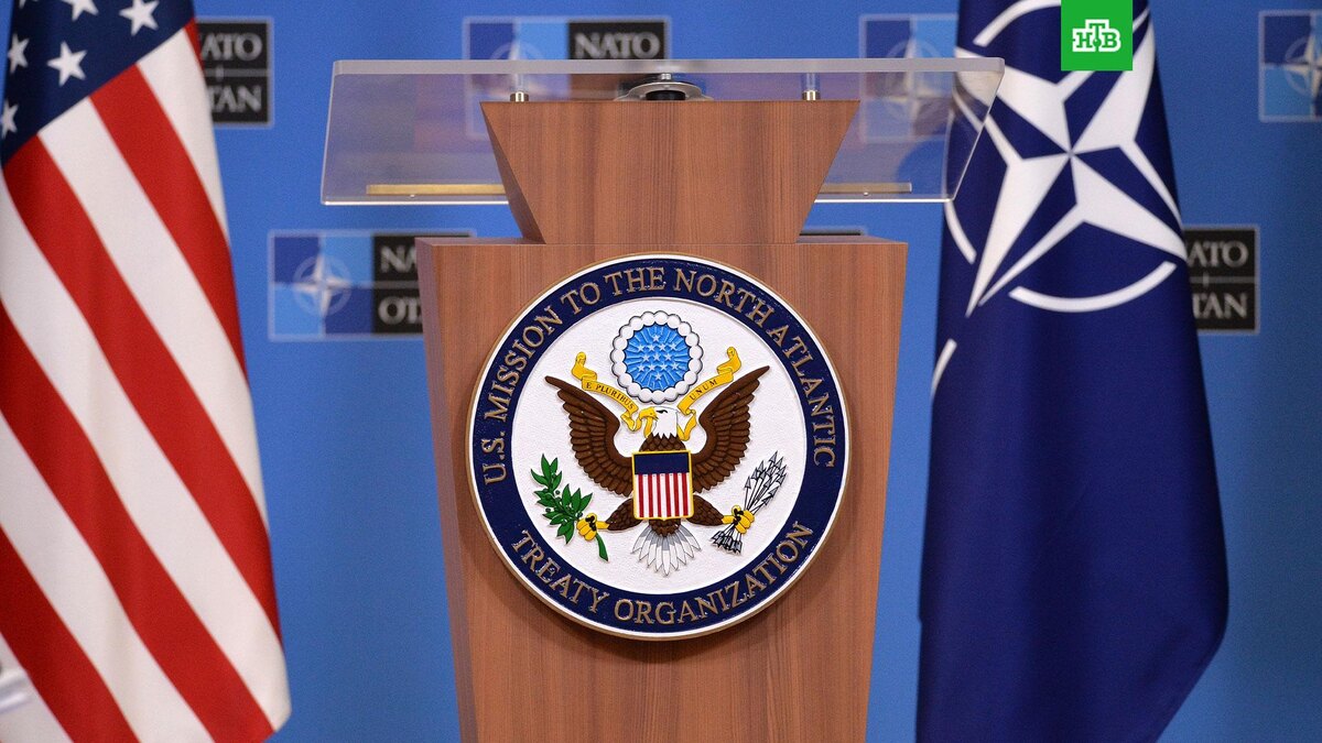    Фото: РИА Новости © 2025, Алексей Витвицкий