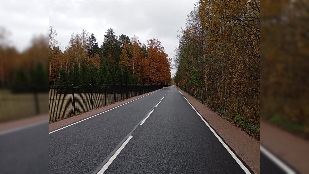    Фото: пресс-служба Смольного