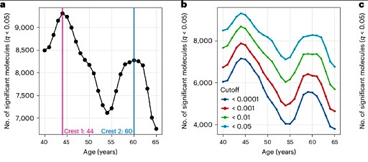 График старения. Источник: www.pabmed.com
