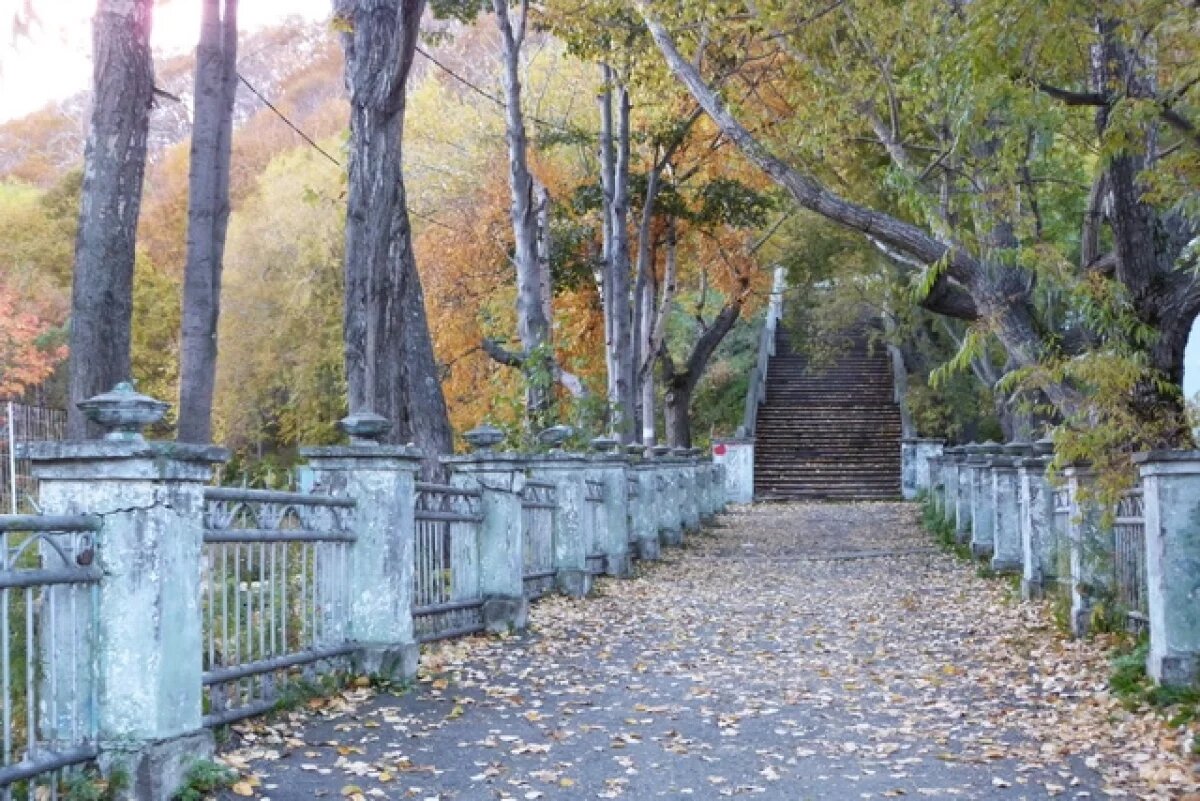    На Камчатке зафиксировали 14 повторных подземных толчков за сутки