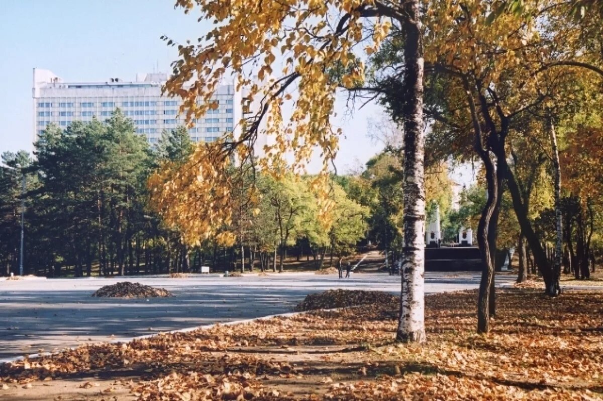    Сухо и безветрено: какая будет погода в Хабаровском крае 23 октября