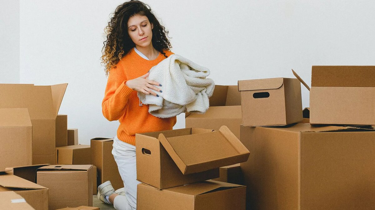 Фото: https://share.google/images/4rFrvynmGqJU6cxtQ