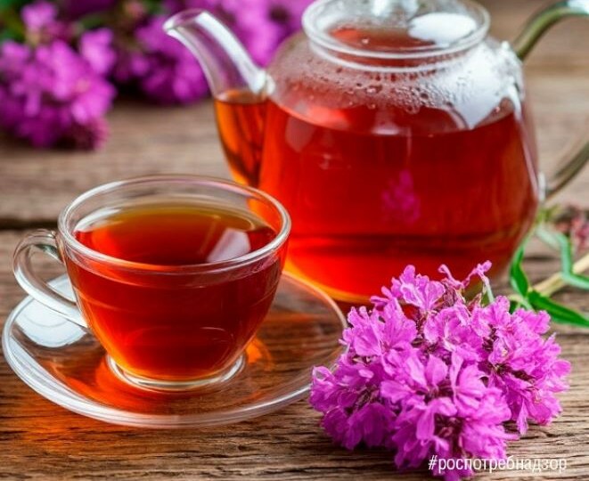 Полезные свойства иван-чая