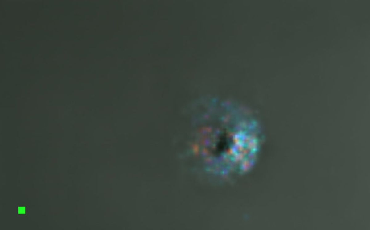 Межзвёздный объект 3I/ATLAS. Фото астронома любителя