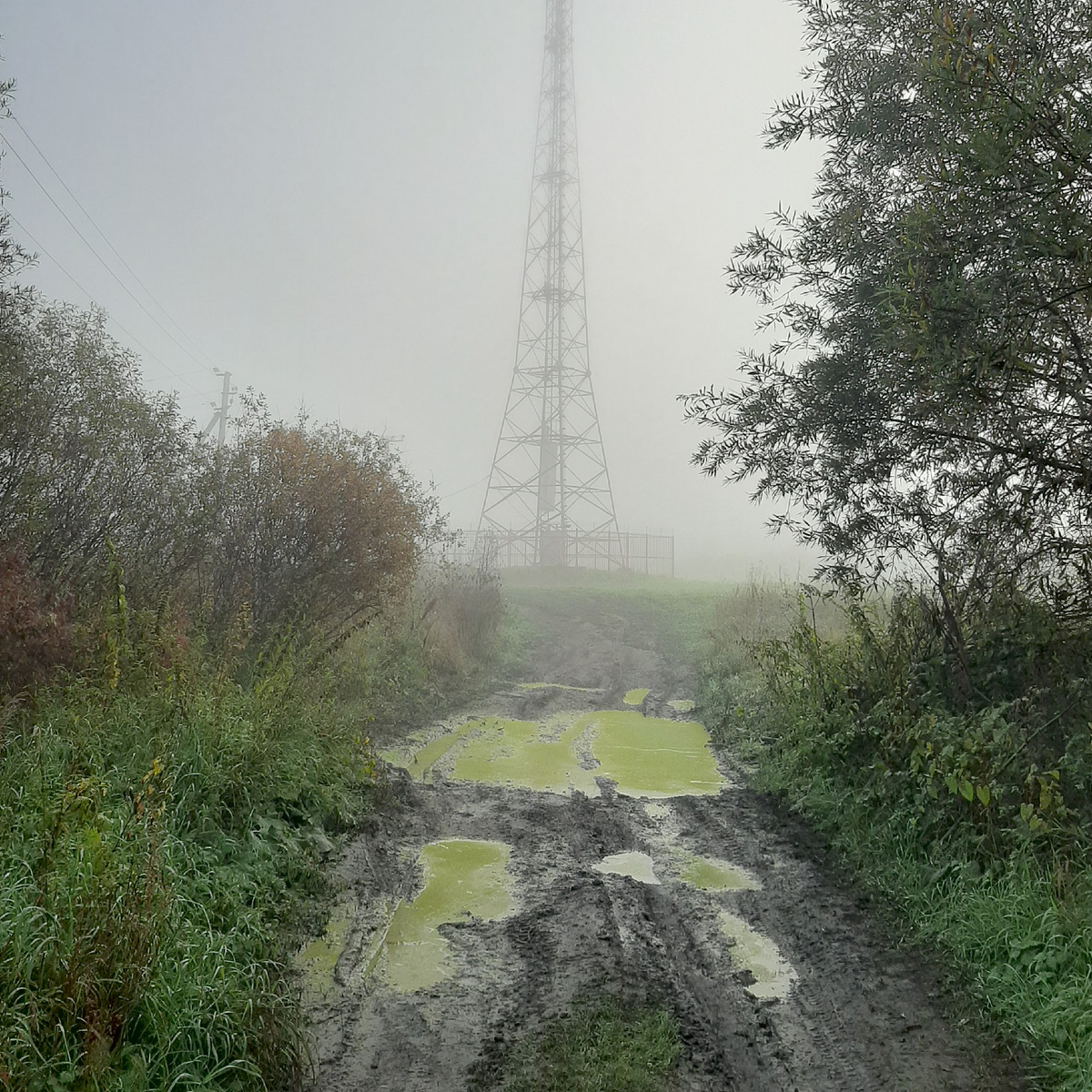 постапокалипсис фото автора