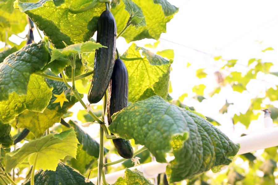 Тематическое фото: из материалов Магаданской областной Думы